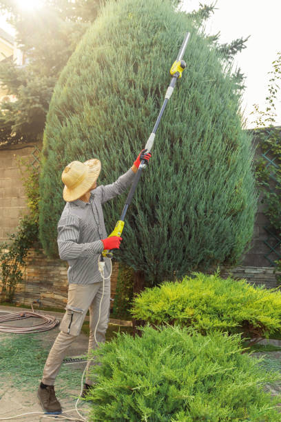 Best Lawn Pest Prevention  in Sun Valley, ID
